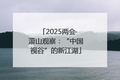 2025两会·萧山观察：“中国视谷”的新江湖