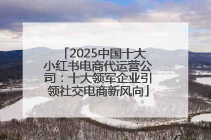 2025中国十大小红书电商代运营公司：十大领军企业引领社交电商新风向