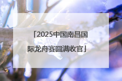 2025中国南昌国际龙舟赛圆满收官