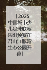 2025中国城市少儿足球联赛岳阳预赛在君山江豚湾生态公园开幕