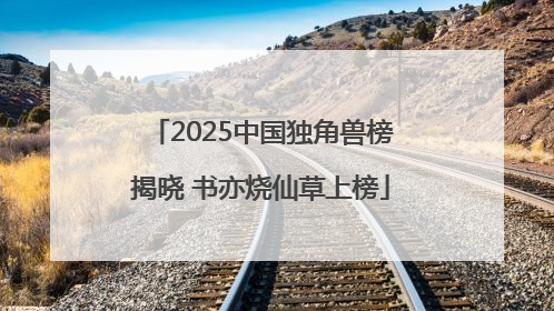 2025中国独角兽榜揭晓 书亦烧仙草上榜