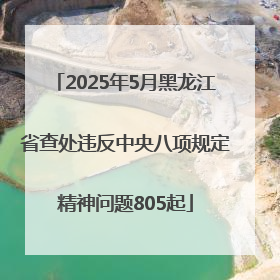 2025年5月黑龙江省查处违反中央八项规定精神问题805起