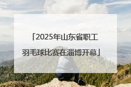2025年山东省职工羽毛球比赛在淄博开幕