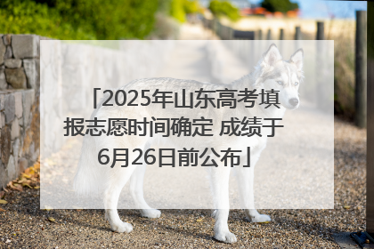 2025年山东高考填报志愿时间确定 成绩于6月26日前公布