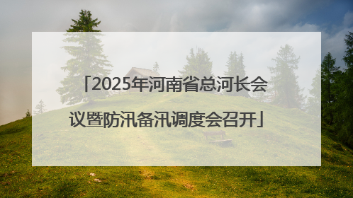 2025年河南省总河长会议暨防汛备汛调度会召开