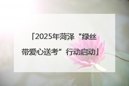 2025年菏泽“绿丝带爱心送考”行动启动