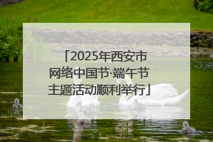 2025年西安市网络中国节·端午节主题活动顺利举行