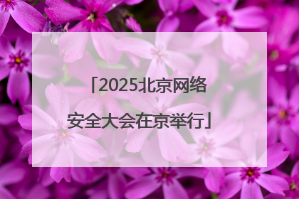 2025北京网络安全大会在京举行