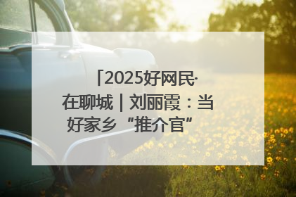 2025好网民·在聊城｜刘丽霞：当好家乡“推介官” 秀出乡村新风貌