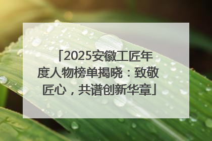 2025安徽工匠年度人物榜单揭晓：致敬匠心，共谱创新华章