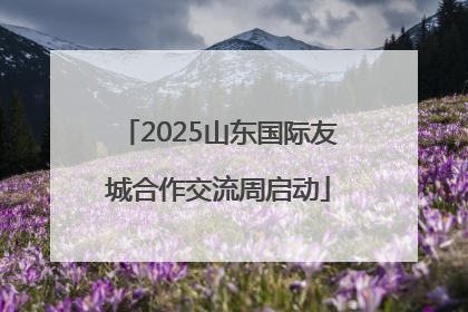 2025山东国际友城合作交流周启动