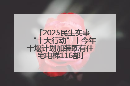 2025民生实事“十大行动”丨今年十堰计划加装既有住宅电梯116部