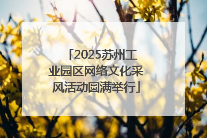 2025苏州工业园区网络文化采风活动圆满举行