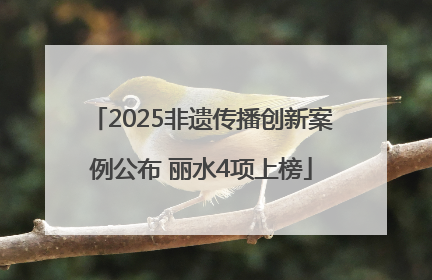 2025非遗传播创新案例公布 丽水4项上榜