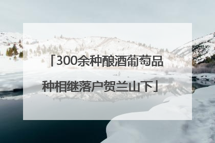 300余种酿酒葡萄品种相继落户贺兰山下