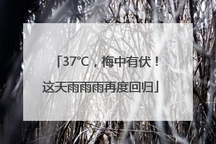 37℃，梅中有伏！这天雨雨雨再度回归
