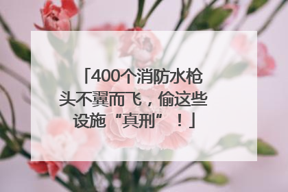 400个消防水枪头不翼而飞，偷这些设施“真刑”！