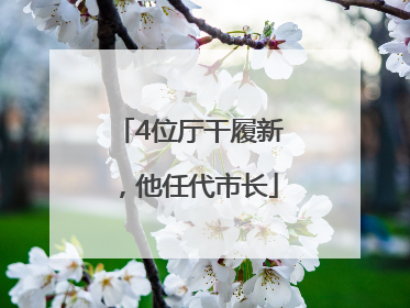 4位厅干履新，他任代市长