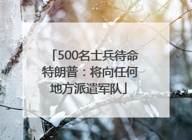 500名士兵待命 特朗普：将向任何地方派遣军队