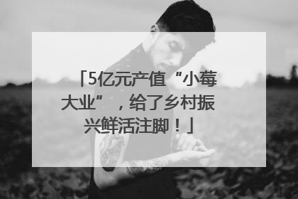 5亿元产值“小莓大业”，给了乡村振兴鲜活注脚！