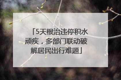 5天根治违停积水顽疾，多部门联动破解居民出行难题