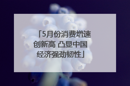 5月份消费增速创新高 凸显中国经济强劲韧性