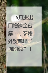 5月进出口增速全省第一，泰州外贸跑出“加速度”