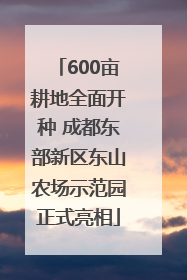 600亩耕地全面开种 成都东部新区东山农场示范园正式亮相