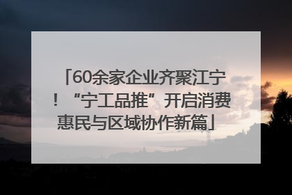 60余家企业齐聚江宁！“宁工品推”开启消费惠民与区域协作新篇