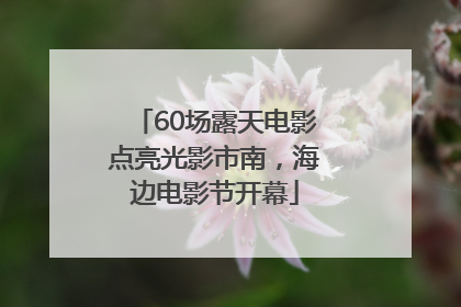 60场露天电影点亮光影市南，海边电影节开幕