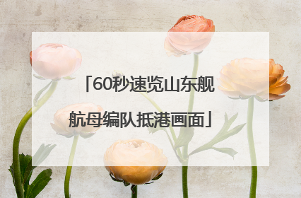 60秒速览山东舰航母编队抵港画面
