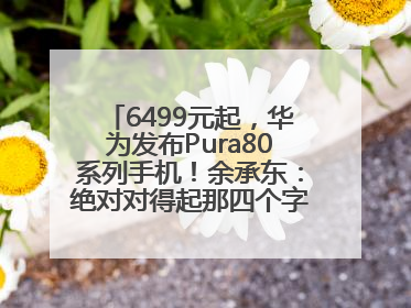 6499元起，华为发布Pura80系列手机！余承东：绝对对得起那四个字！华为近十年研发投入12490亿元