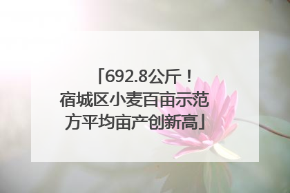 692.8公斤！宿城区小麦百亩示范方平均亩产创新高