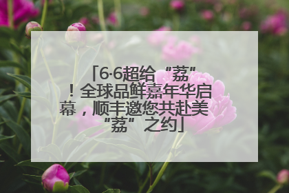6·6超给“荔”！全球品鲜嘉年华启幕，顺丰邀您共赴美“荔”之约