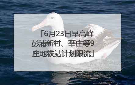 6月23日早高峰彭浦新村、莘庄等9座地铁站计划限流