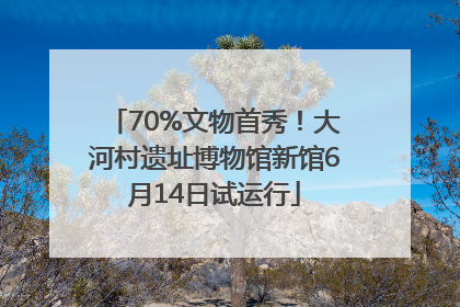 70%文物首秀！大河村遗址博物馆新馆6月14日试运行