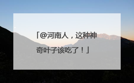 @河南人，这种神奇叶子该吃了！