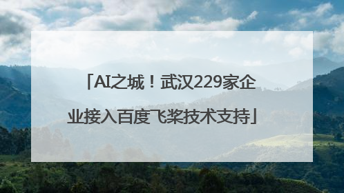 AI之城！武汉229家企业接入百度飞桨技术支持