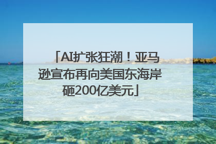 AI扩张狂潮!亚马逊宣布再向美国东海岸砸200亿美元