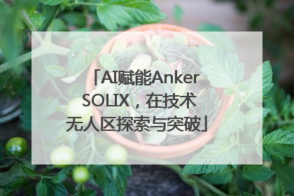 AI赋能Anker SOLIX，在技术无人区探索与突破