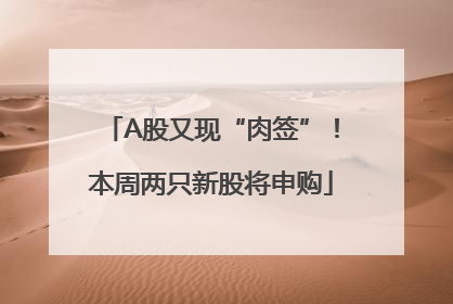 A股又现“肉签”！本周两只新股将申购