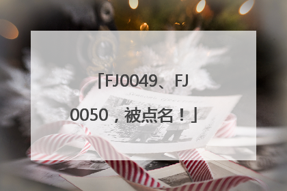 FJ0049、FJ0050，被点名！
