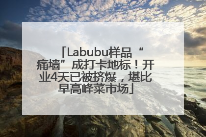 Labubu样品“痛墙”成打卡地标!开业4天已被挤爆,堪比早高峰菜市场