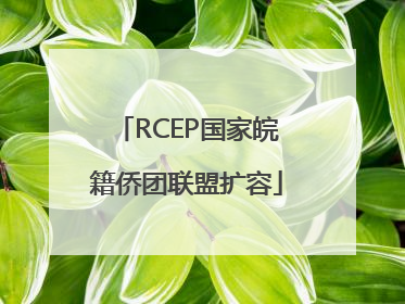 RCEP国家皖籍侨团联盟扩容